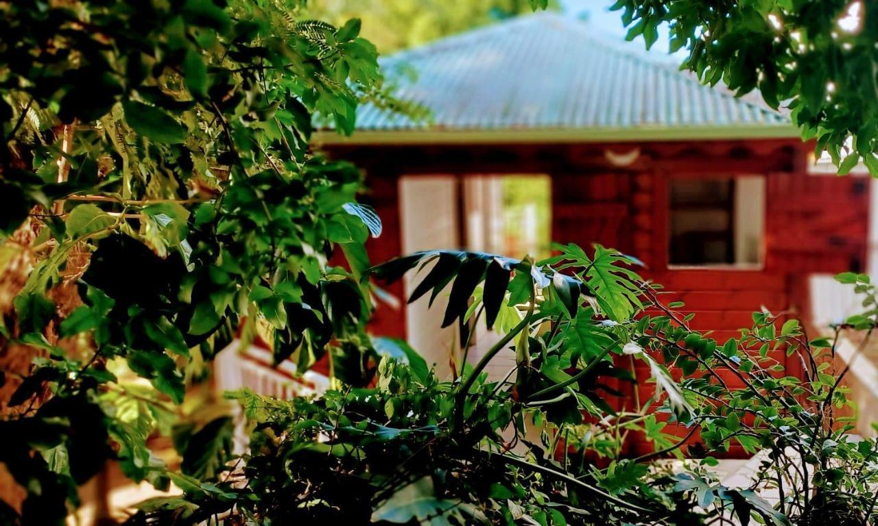 Gite Mamour - Charmant Petit Bungalow A Decouvrir Baillif Exterior foto